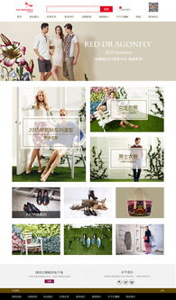 紅蜻蜓網站設計與用戶體驗優(yōu)化