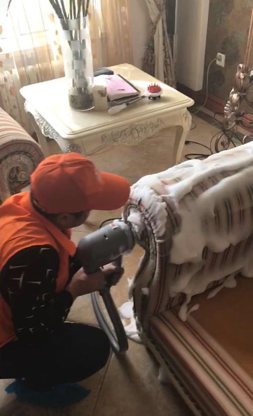 圖 西安新城專業(yè)保潔公司電話 專業(yè)清洗團(tuán)隊(duì)公司 服務(wù)踏實(shí),真情奉獻(xiàn) 西安保潔清洗